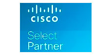partner-image